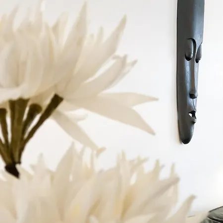 The Beautiful Cosy *