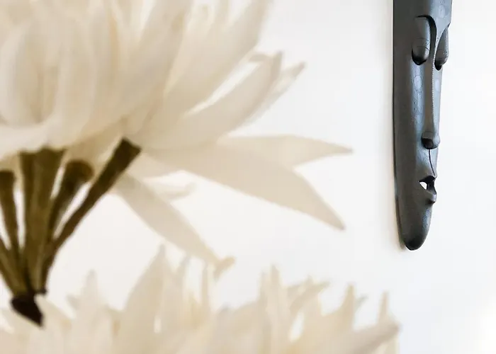 The Beautiful Cosy *